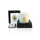 Gold Rose Oudh scented candle from Tiziana Terenzi